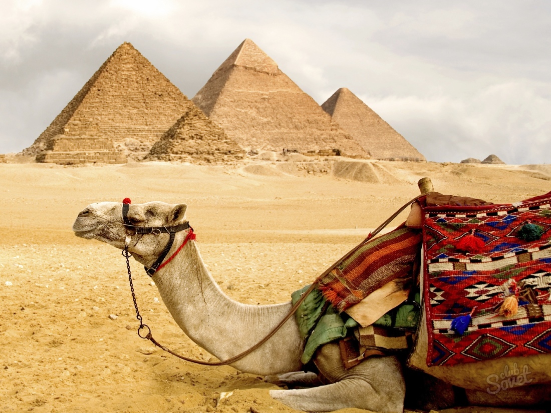 Πώς να καλέσετε στην Αίγυπτο