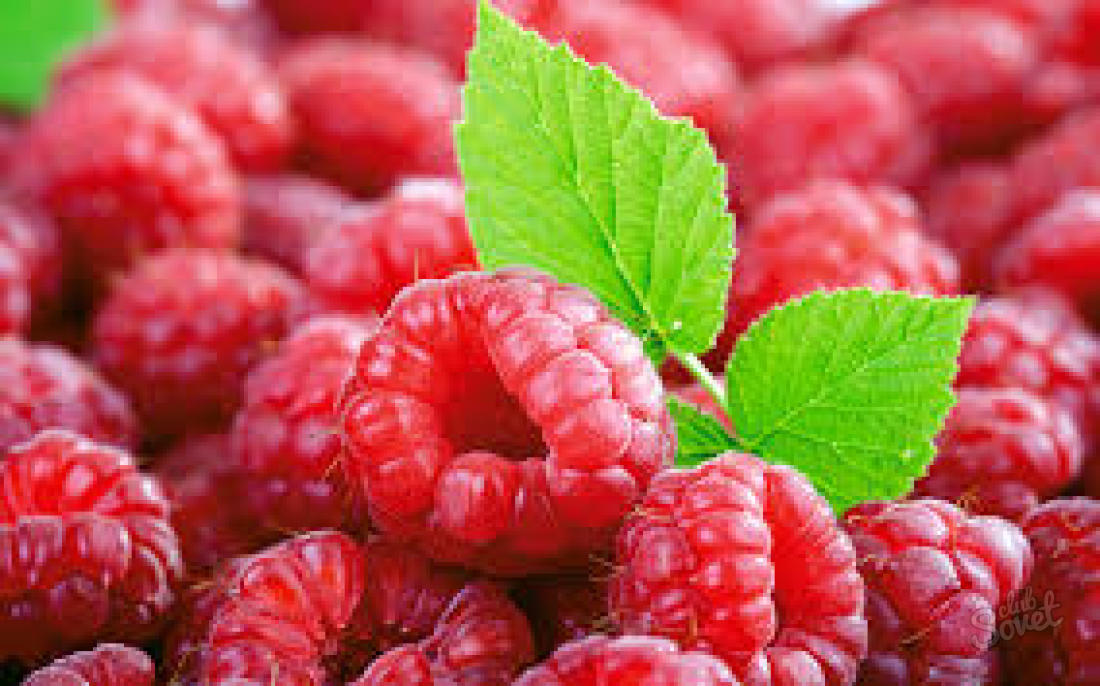 How to care for raspberry repair