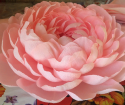 How to make a peony from corrugated paper?