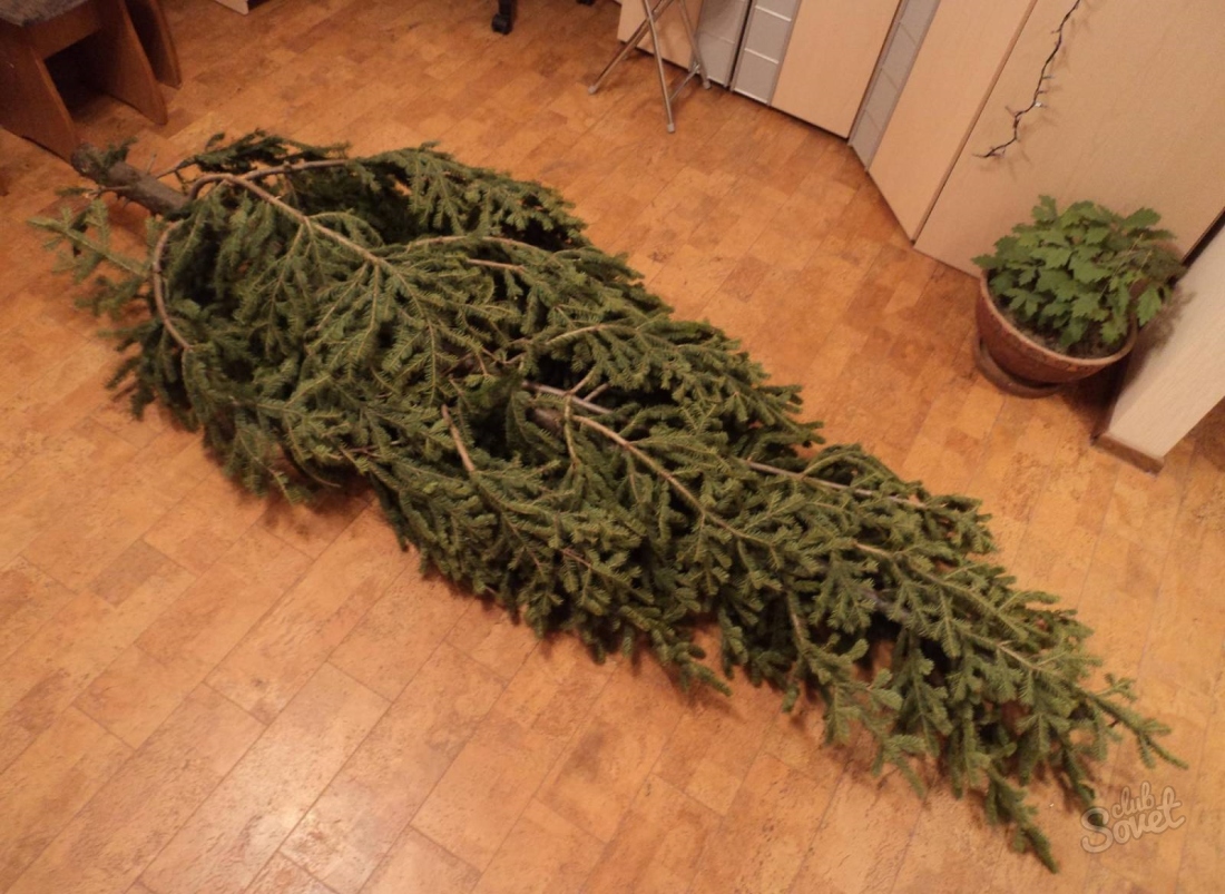 How to put a Christmas tree without a stand