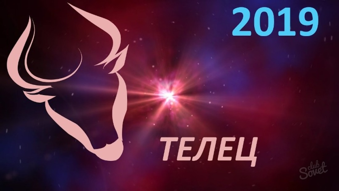 Horoskop na 2019 - Taurus