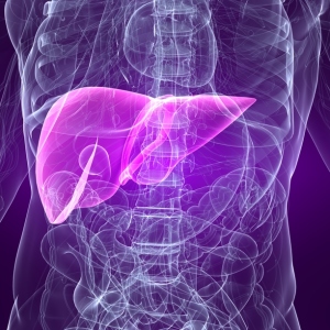 Photo how to treat liver after alcohol