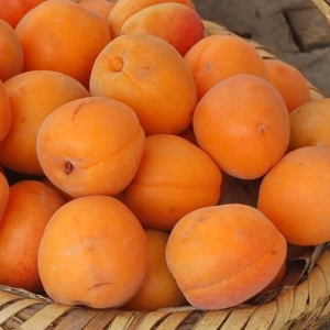 Фото к чему снятся абрикосы?