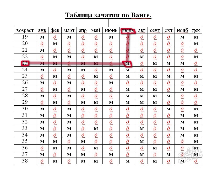 Схема зачатия ребенка