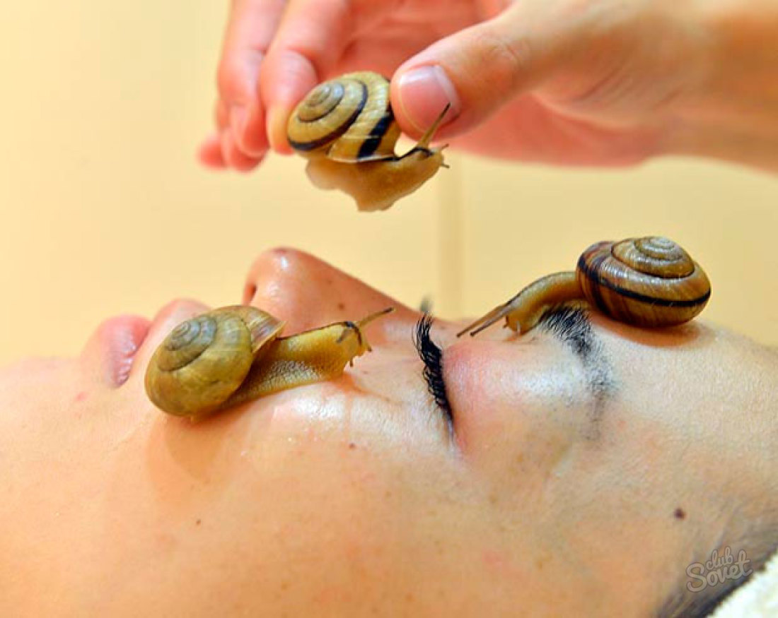 Massage with snails Achatins