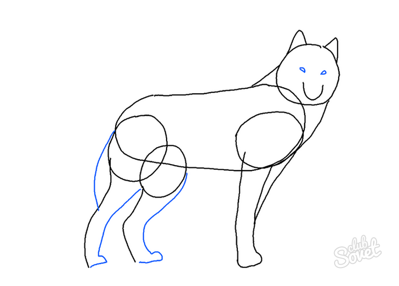 Волк поэтапно для детей. Поэтапное рисование волка. Поэтапное рисование волка для детей. Пошаговое рисование волка. Волк рисунок поэтапно.