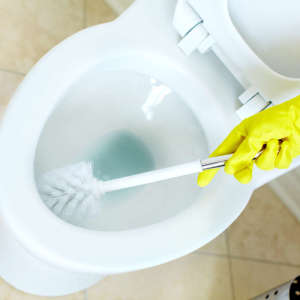 How to clean the toilet?
