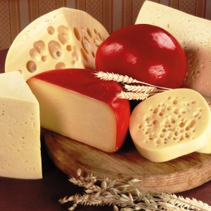 What to cook from cheese