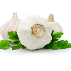 How to grow winter garlic