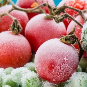 Фото як заморозити томати