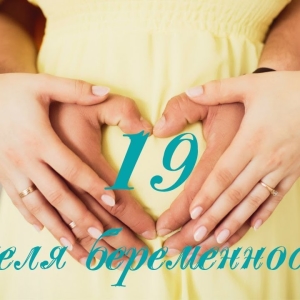 19 أسبوع من الحمل - ماذا يحدث؟