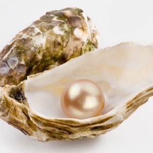 Photo of pearls - how to distinguish natural