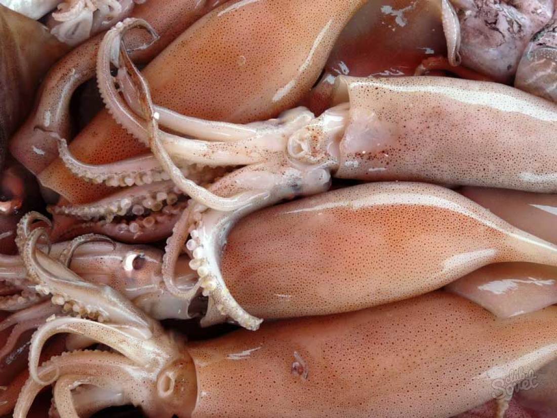 How to clean squid