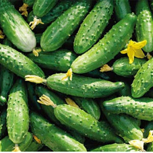 How to pinch cucumbers