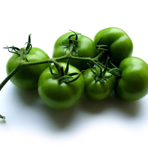 Foto hur man lagrar gröna tomater så att de rodnar