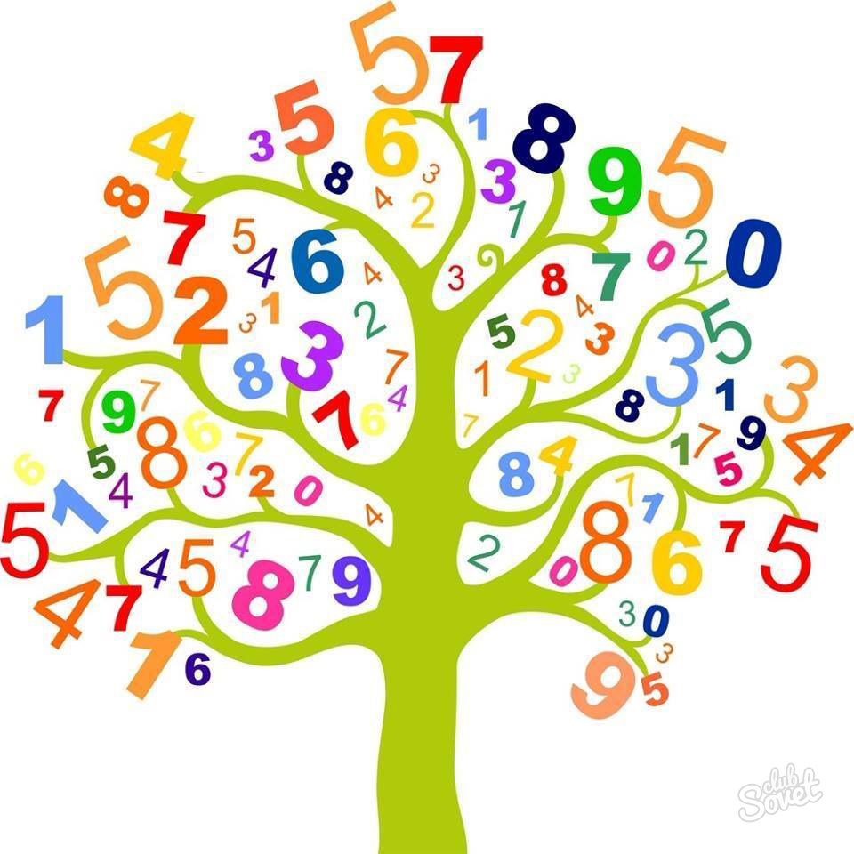 13-δέντρων-αριθμοί