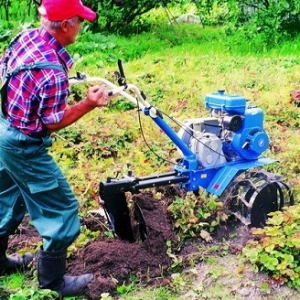 Foto Hur man väljer en promenad -Behind traktor för trädgården