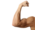 How to pump biceps at home
