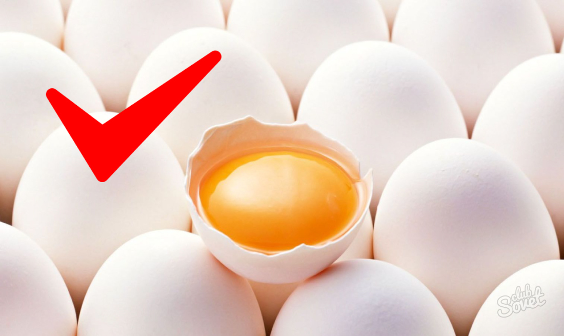 Как определить свежесть яиц?