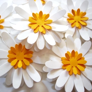 How to make a chamomile paper