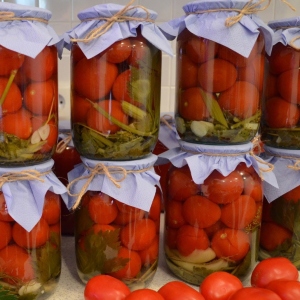 Stock Foto Kako pokupiti rajčice