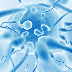 Снимка Как да декриптирате спермограма