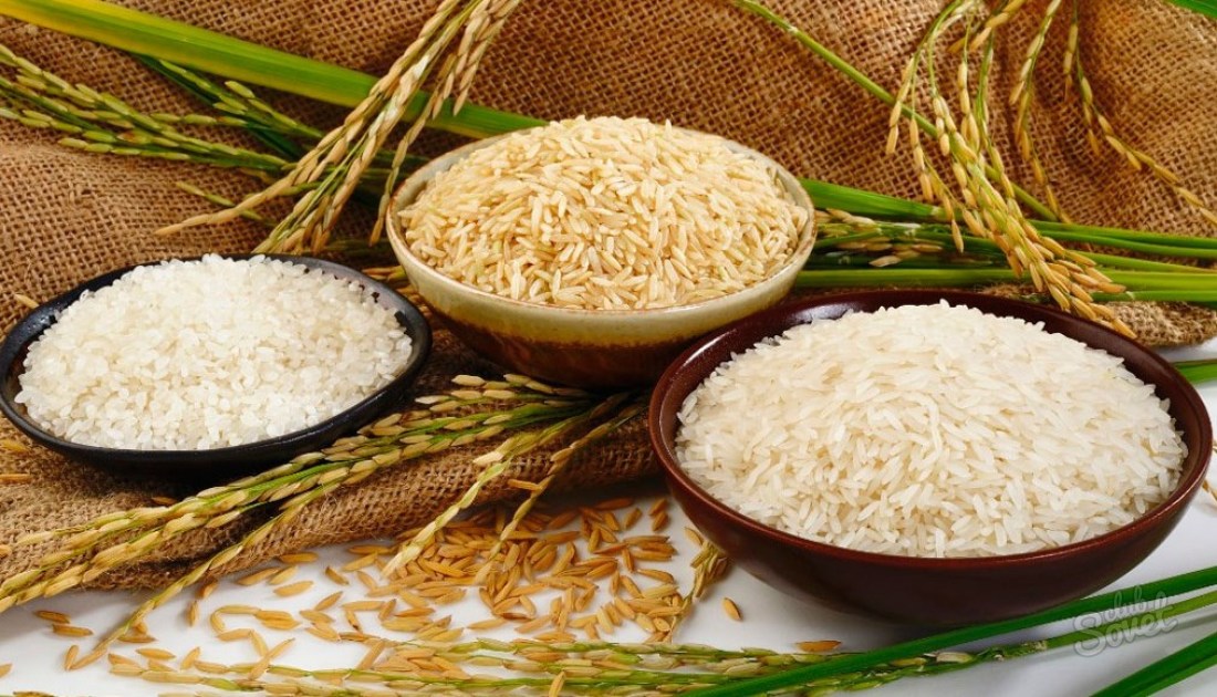 What can be prepared from rice?