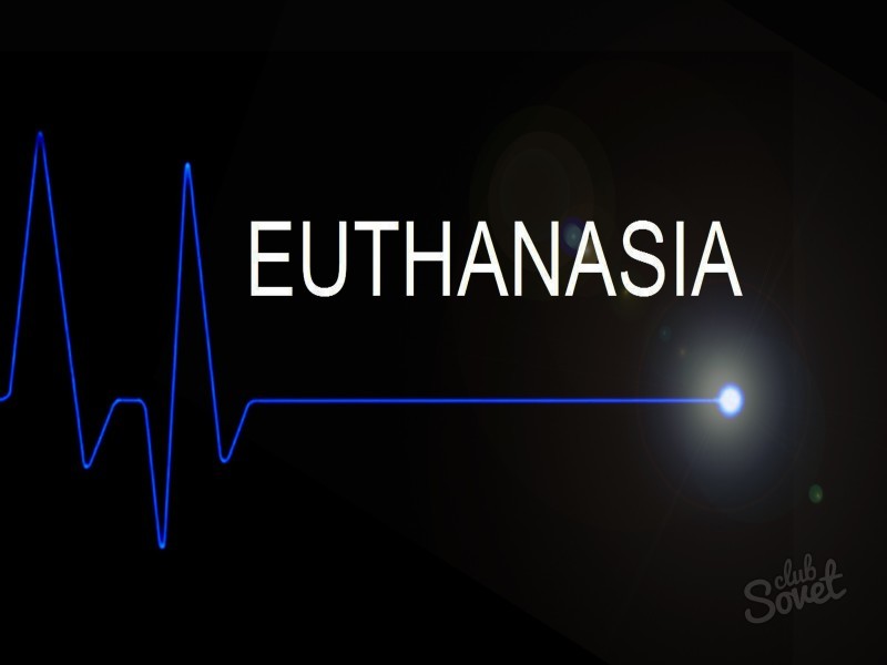 Cos'è l'eutanasia
