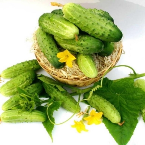 How to choose cucumber seeds