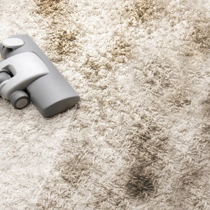 Foto, wie man Teppich sauber macht