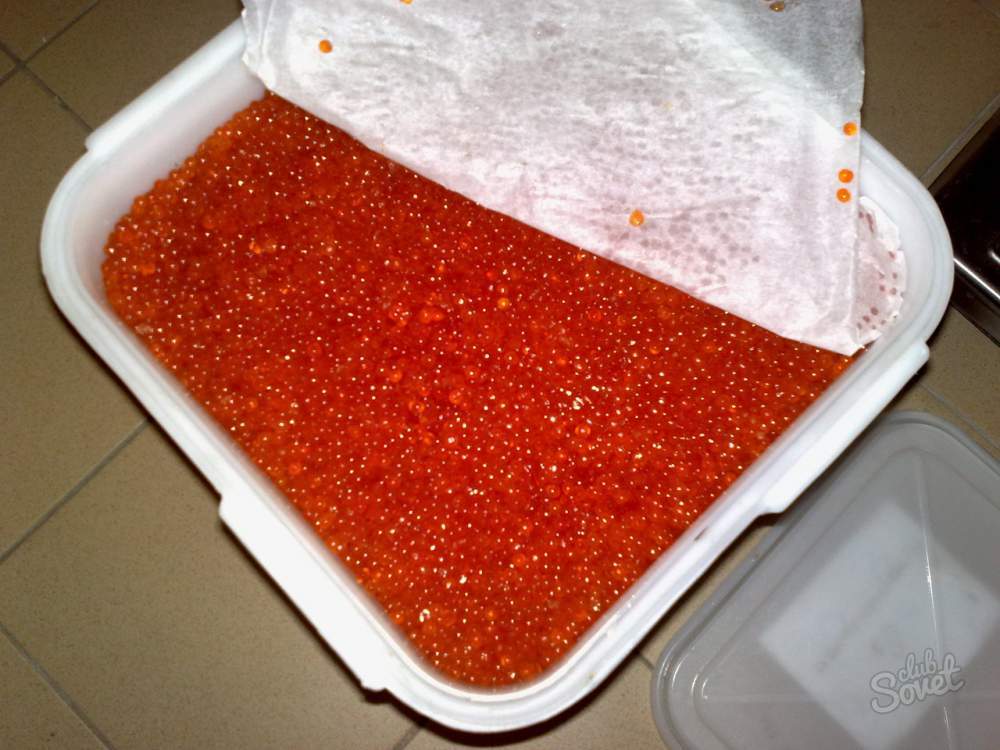 Comment picoller le caviar de truite