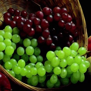Como plantar uvas