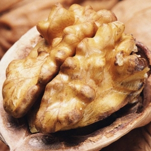 How to grow walnut