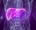 How to treat liver after alcohol