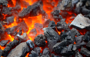 چگونه زغال سنگ سنگ تشکیل شد؟