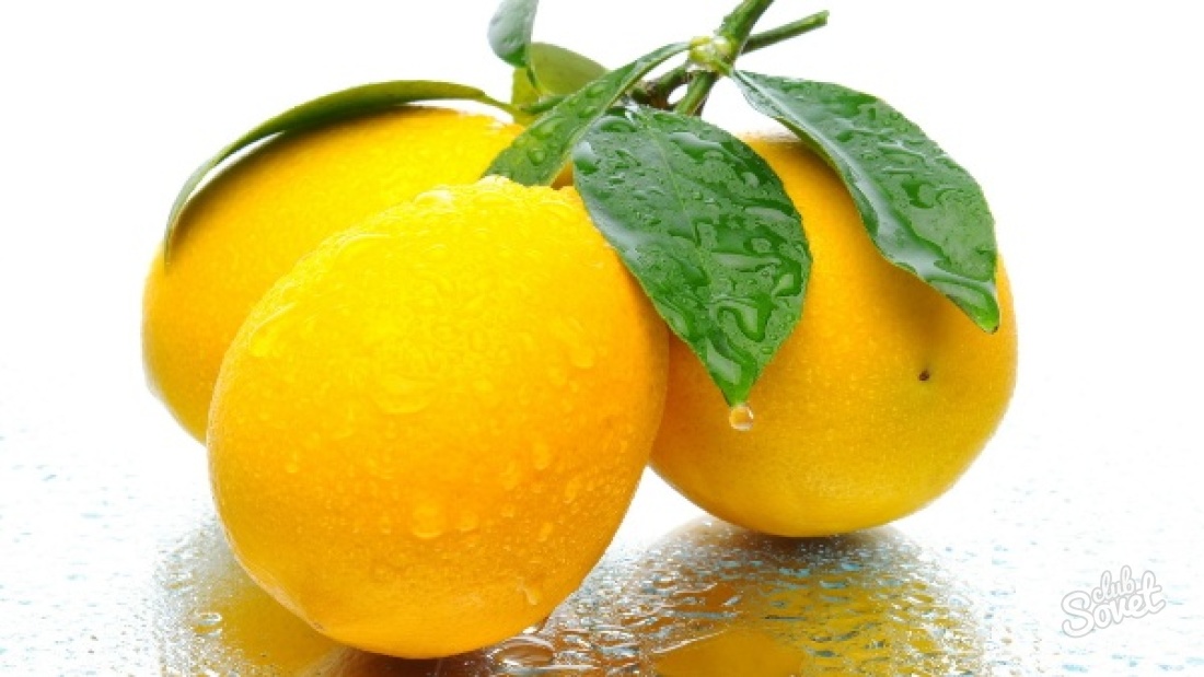 Kako rastejo limona iz kosti