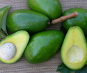 Полезные свойства авокадо
