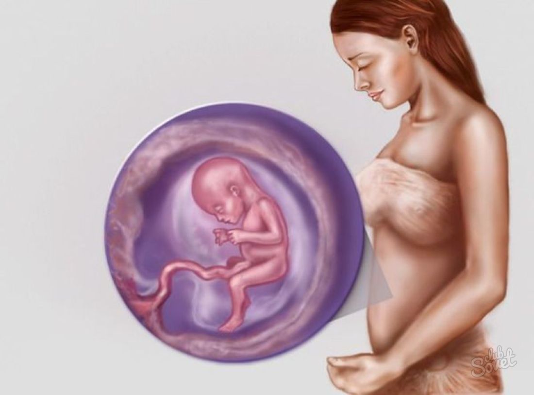Токсикоз на 6 неделе. Малыш в утробе матери. Пятая неделя беременности.