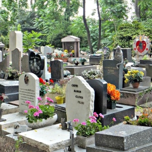 Warum träumt der Friedhof und der Gräber?