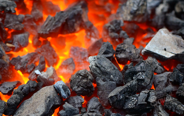 Como o carvão de pedra se formou?