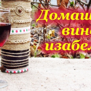 Fotoğraf evde isabella üzümlerinden şarap yemek nasıl