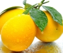 Ako pestovať citrón z kosti
