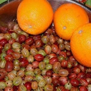 Fotografia de Stock Jam de groselha com laranjas