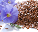 Kako kaliti lanena semena