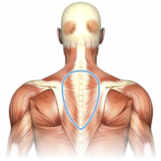 چگونه برای حذف عرض گردن بر روی گردن