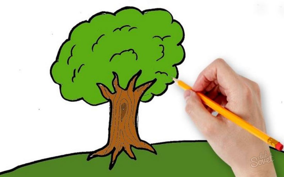 Как нарисовать дерево карандашом