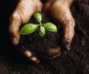Comment préparer le sol pour les semis