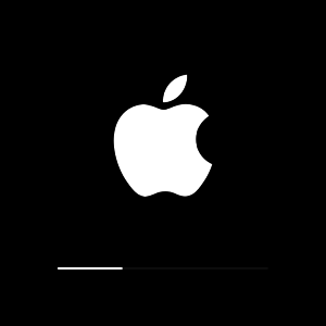 Φωτογραφία Πώς να ξεκλειδώσετε το αναγνωριστικό της Apple