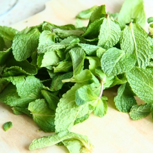 How to dry mint at home