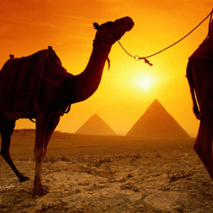 Шта да донесе из Египта